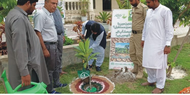 گرین پنجاب مہم کے تحت شجرکاری