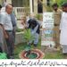 گرین پنجاب مہم کے تحت شجرکاری