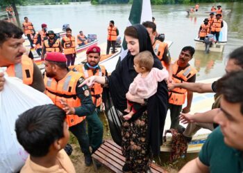 پنجاب حکومت کا بڑا اقدام، ساڑھے پانچ لاکھ مویشی محفوظ مقامات پر منتقل