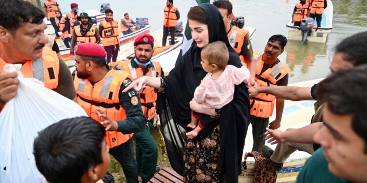 پنجاب حکومت کا بڑا اقدام، ساڑھے پانچ لاکھ مویشی محفوظ مقامات پر منتقل