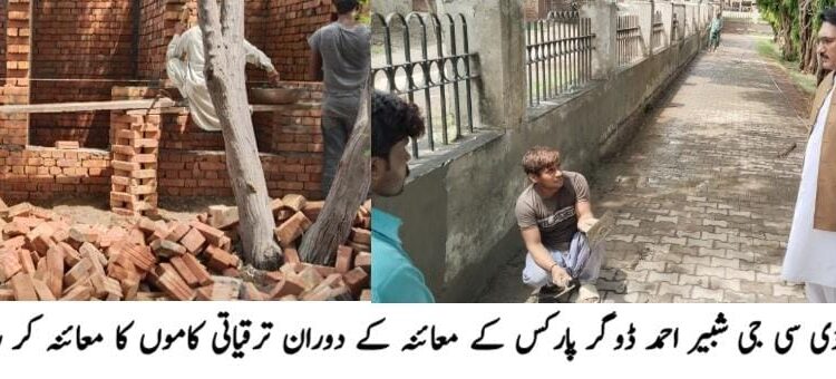 پارکس میں تفریحی سہولیات بہتر بنانے کے لیے منصوبے جاری