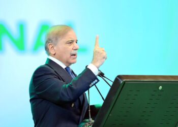 گلگت بلتستان میں شمسی توانائی کا انقلابی قدم – 100 میگاواٹ سولر منصوبہ ایک سال میں مکمل ہوگا