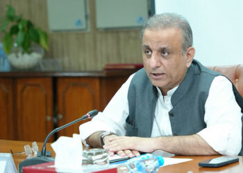 خیبر پختونخوا میں بارشوں اور سیلاب سے متاثرہ سڑکوں کی بحالی,وفاقی وزیر مواصلات عبدالعلیم خان نے خیبر پختونخوا کے وزیر اعلیٰ علی امین گنڈاپور سے ٹیلی فونک رابطہ کیا