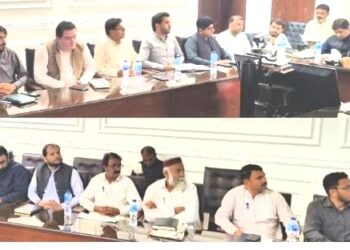 ڈپٹی کمشنر امیر ابیدار کی زیرصدارت ہسپتالوں کی ری ویمپنگ اجلاس