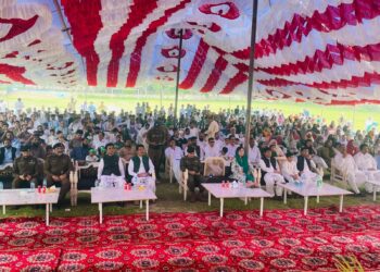 یومِ آزادی 2025 کی مرکزی تقریب لیہ میں شایانِ شان انداز سے منعقد، ڈپٹی کمشنر امیرا بیدار اور ڈی پی او محمد علی وسیم کی قیادت