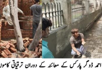 پارکس میں تفریحی سہولیات بہتر بنانے کے لیے منصوبے جاری