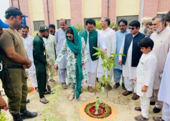 جشنِ آزادی کے موقع پر ماچھو فاریسٹ سب ڈویژن میں وسیع شجرکاری مہم