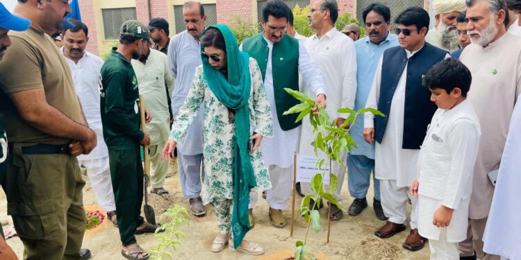 جشنِ آزادی کے موقع پر ماچھو فاریسٹ سب ڈویژن میں وسیع شجرکاری مہم