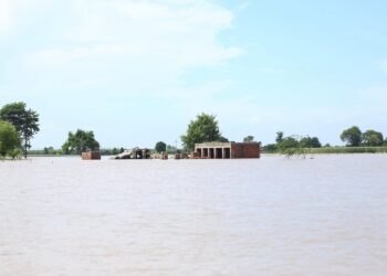پنجند کے مقام پر اونچے درجے کا سیلاب، کمشنر ڈی جی خان کا متاثرہ علاقوں کا دورہ
