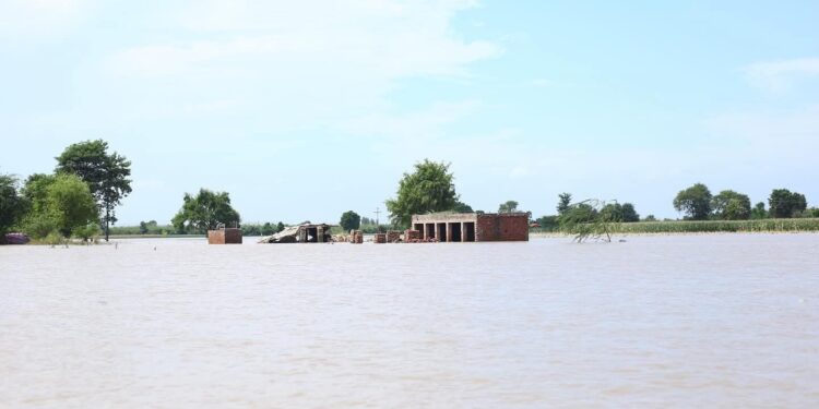 پنجند کے مقام پر اونچے درجے کا سیلاب، کمشنر ڈی جی خان کا متاثرہ علاقوں کا دورہ
