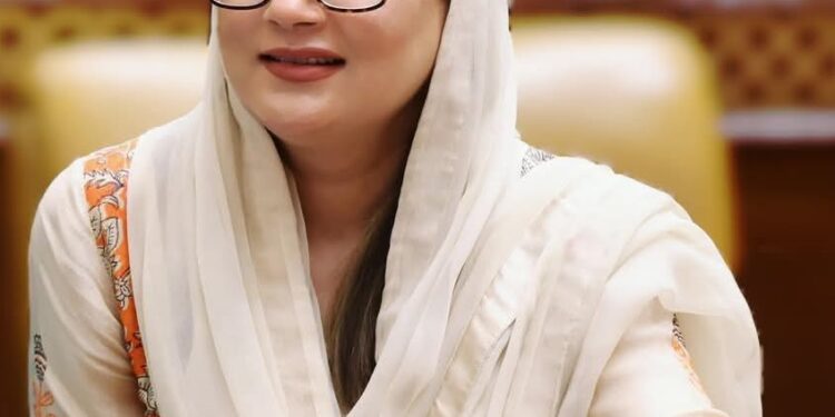 حالیہ سیلاب سےپنجاب میں 41 لاکھ سے زائد افراد4 ہزار 355 مواضعات متاثر