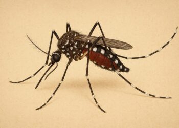 ڈینگی مکاؤ، سکھ پاؤ مہم کے تحت آگاہی پمفلٹس کی تقسیم