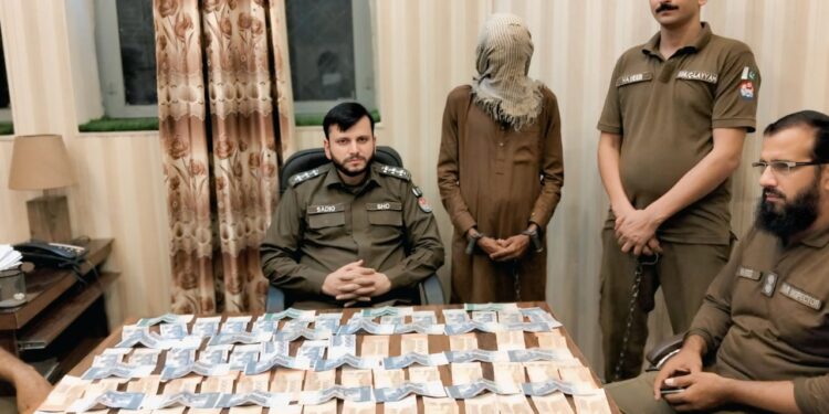 لیہ پولیس کی بڑی کارروائی، لاکھوں روپے کا مسروقہ سامان برآمد، ملزم گرفتار