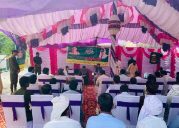 عوامی مسائل کے حل کے لیے کھلی کچہریوں کا انعقاد، ڈپٹی کمشنر لیہ کی براہ راست شرکت