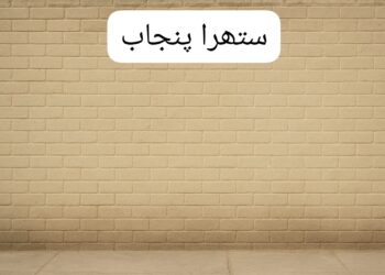 ستھرا پنجاب مہم کے تحت وال چاکنگ کے خاتمے کے لیے اقدامات تیز