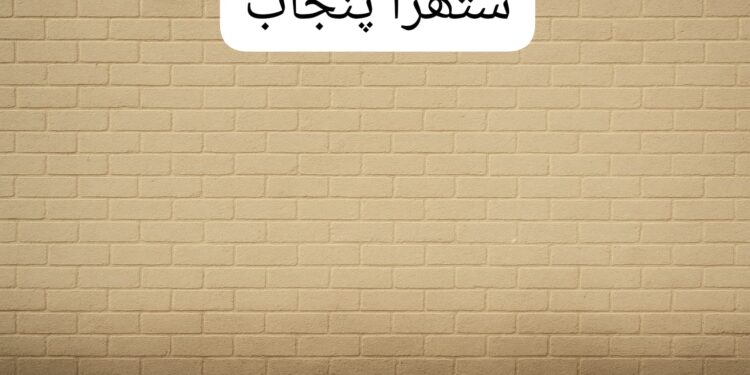 ستھرا پنجاب مہم کے تحت وال چاکنگ کے خاتمے کے لیے اقدامات تیز