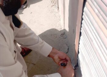 لیہ میں گندم ذخیرہ اندوزی کے خلاف کارروائی، 1000 پیکج برآمد