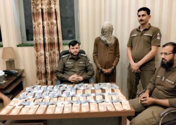 لیہ پولیس کی بڑی کارروائی، لاکھوں روپے کا مسروقہ سامان برآمد، ملزم گرفتار