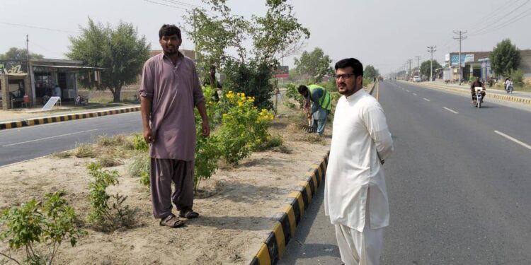 ڈپٹی کمشنر لیہ امیرابیدار کے خصوصی احکامات پر ضلع کونسل لیہ کے زیر انتظام لیہ تا چوک اعظم روڈ پر گرین بیلٹس کی تزئین و آرائش کا کام تیزی سے جاری ہے